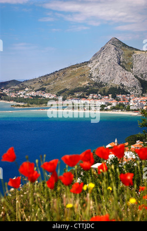 Omis comune e di papavero, Dalmazia, Croazia Foto Stock