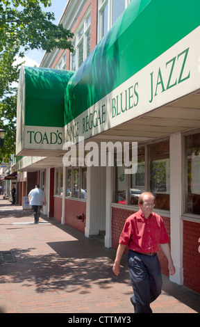 Toad in New Haven CT Foto Stock