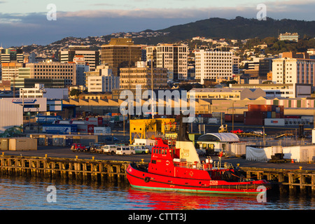 Rosso brillante tug ormeggiata nel porto di Wellington, Nuova Zelanda, all'alba Foto Stock