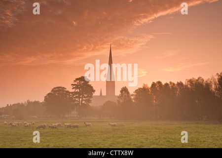 La cattedrale di Salisbury attraverso il west harnham acqua prati all'alba. Foto Stock