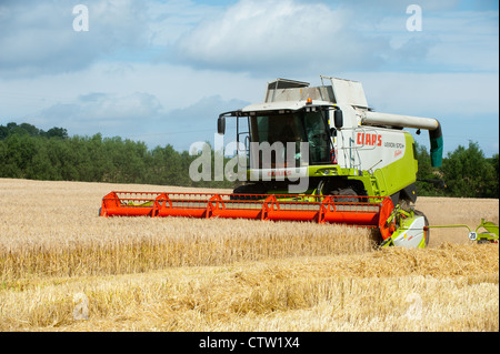 Macchina mietitrebbiatrice la raccolta di frumento in un campo di Shropshire, Inghilterra Foto Stock