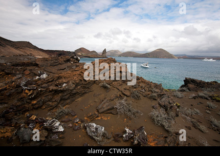 Paesaggio di rocce laviche con il grigio Matplants (Tiquilia nesiotica) e bay con navi, isole Galapagos National Park, Bartolome Foto Stock