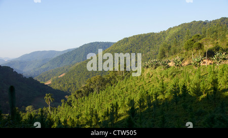 Valli e colline nella valle superiore del fiume Itajai-Mirim Foto Stock