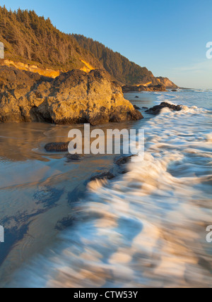 Ecola State Park, Oregon: luce della sera sul surf indiana di spiaggia e boscoso pacifico promontori costieri Foto Stock