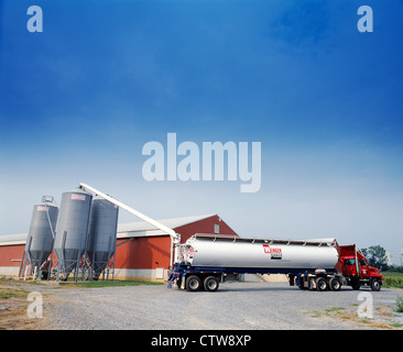 Carrello di alimentazione il riempimento degli scomparti di alimentazione al di fuori del pollo case / PENNSYLVANIA Foto Stock