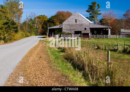Autunno colore sulla strada rurale vicino a Freeport, Maine. Foto Stock