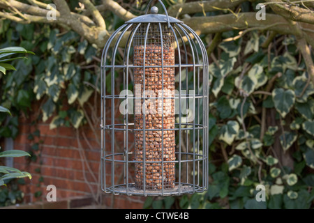 Un metallo a prova di scoiattolo uccello alimentatore dado Foto Stock
