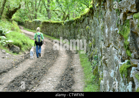 La donna e il cane a camminare su una via accanto a un alto muro di pietra nel bosco Foto Stock