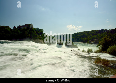 Cascate del Reno vicino a Sciaffusa Foto Stock