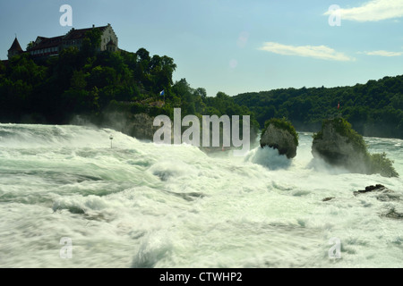 Cascate del Reno vicino a Sciaffusa Foto Stock
