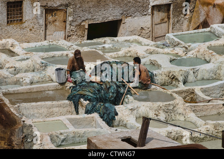 Lavoratori nella millenaria del cuoio conceria antica medina di Fes, Marocco Foto Stock