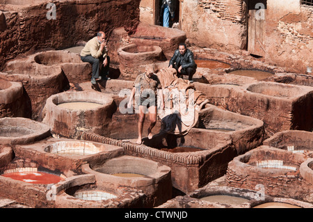 Lavoratori nella millenaria del cuoio conceria antica medina di Fes, Marocco Foto Stock