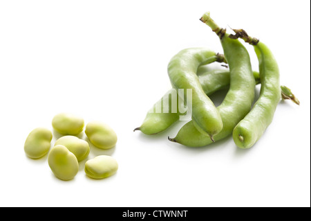 Le fave fresche o fava isolato su uno sfondo bianco comprende cialde e fave sgusciate Foto Stock