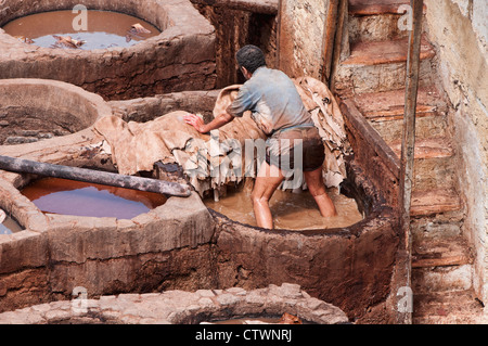 Lavoratore della millenaria del cuoio conceria antica medina di Fes, Marocco Foto Stock