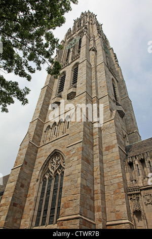 Harkness Tower è un prominente Collegiata struttura gotica presso l Università di Yale Foto Stock