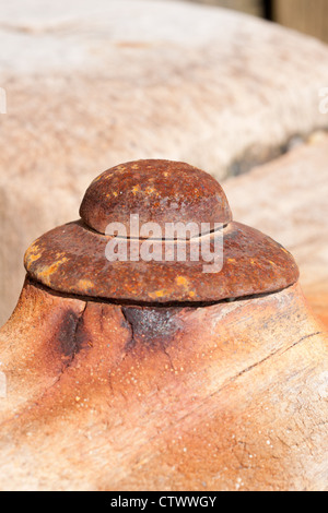 Presa sulla spiaggia Hornsea uk, questa è la testa di un bullone arrugginito utilizzato per costruire i frangiflutti in legno. Foto Stock