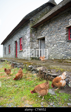 Xix secolo con tetto di paglia di carestia Cottages, Fahan, penisola di Dingle, nella contea di Kerry in Repubblica di Irlanda. Foto Stock