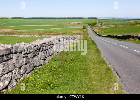 Il B3357 strada a Dartmoor vicino Princetown, Devon, Regno Unito Foto Stock