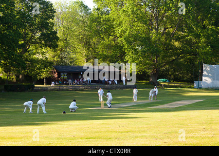 Luce della Sera su un gioco del villaggio di cricket a Lustleigh, Devon, Regno Unito Foto Stock
