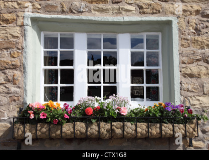 Window box al di fuori di una pietra costruito casa a Masham, nello Yorkshire, Inghilterra, Regno Unito Foto Stock