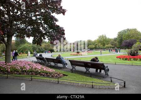 St Stephen's Green park Dublino Irlanda Foto Stock