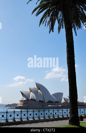 Sydney Opera House e il palm tree, NSW Australia Foto Stock