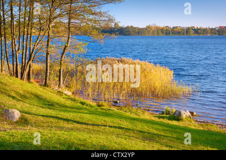 Suwalki Landscape Park, Czarna Hancza Lago, Polonia, Europa Foto Stock