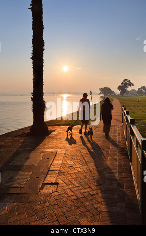Due donne cani a piedi all'alba lungo un percorso lungo il fiume Foto Stock