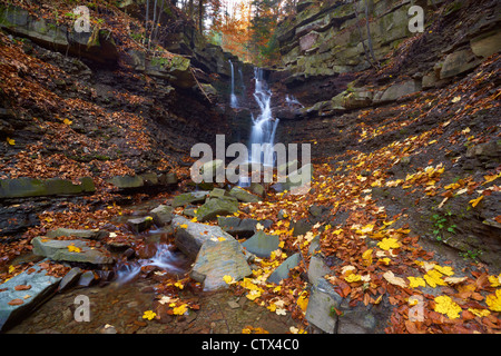 La cascata nel Zywiec Beskids, Polonia, Europa Foto Stock