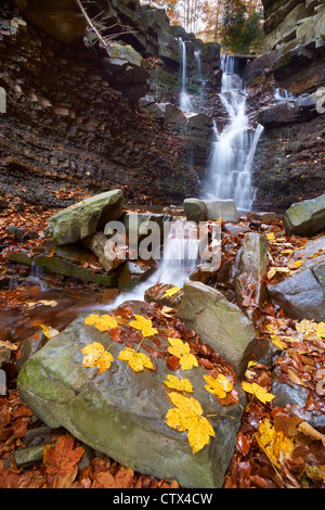 La cascata nel Zywiec Beskids, Polonia, Europa Foto Stock