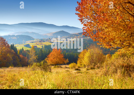 La Zywiec Beskids, Polonia Foto Stock