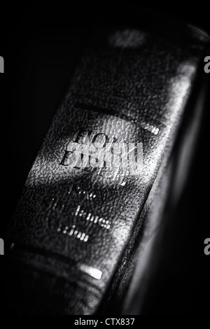 La Santa Bibbia contro uno sfondo scuro. Monocromatico Foto Stock