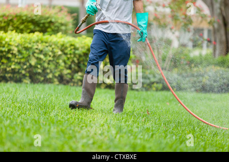 Pest Control tecnico utilizzando alta pressione pistola a spruzzo ed il tubo flessibile con per impieghi pesanti guanti Foto Stock