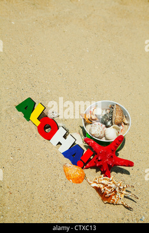 Colorate in legno parola "Aloha" con conchiglie sulla sabbia Foto Stock