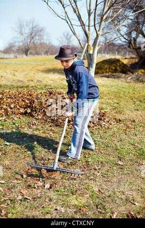 Giovane ragazzo in hat pulizie di primavera in un frutteto di noce con un rastrello Foto Stock