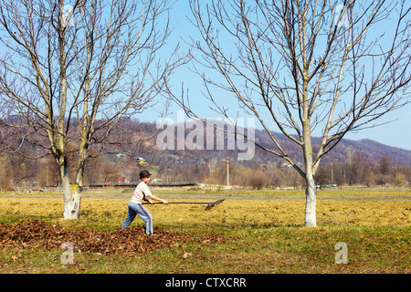 Giovane ragazzo in hat pulizie di primavera in un frutteto di noce con un rastrello Foto Stock