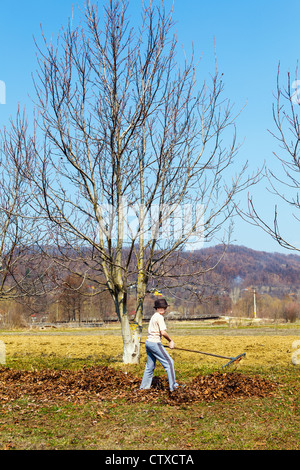 Giovane ragazzo in hat pulizie di primavera in un frutteto di noce con un rastrello Foto Stock