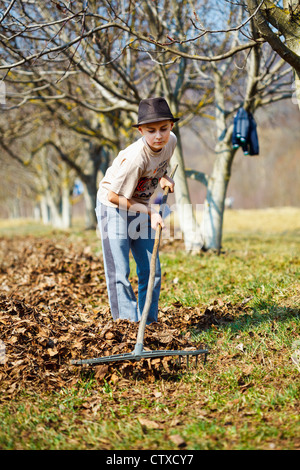 Giovane ragazzo in hat pulizie di primavera in un frutteto di noce con un rastrello Foto Stock