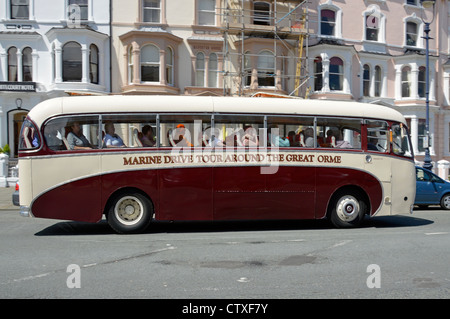 In vecchio stile coach essendo utilizzato per il tour panoramico intorno al Great Orme Marine Drive Foto Stock