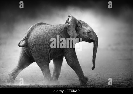 Baby Elephant in esecuzione in polvere (lavorazione artistica) Etosha National Park - Namibia Foto Stock