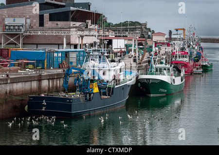 Barche da pesca ormeggiate al molo del porto di pesca di San Vicente de la Barquera Cantabria, Spagna, Europa Foto Stock