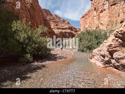 Trekking attraverso il M'Goun Gorges del sud montagne Atlas, Marocco Foto Stock