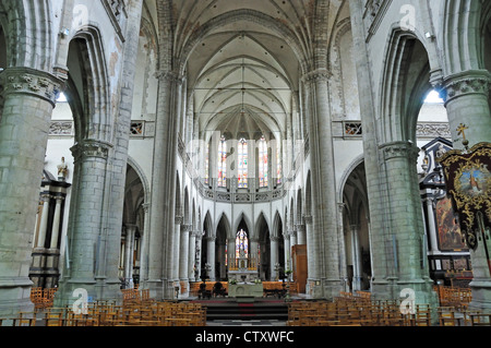 Aalst, Belgio. Sint Martinuskerk / St Martin's chiesa (1480-1638) interni Foto Stock