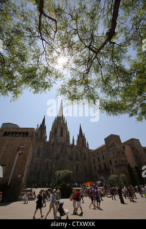 Città di Barcellona, Spagna. Stagliano Vista della facciata in stile gotico della cattedrale di Barcellona. Foto Stock