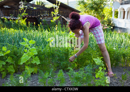 Giardiniere Giovane Donna con cesto nel suo giardino, picking crescione Foto Stock