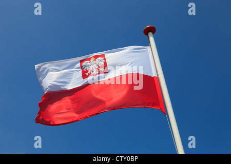 Polacco bandiera nazionale nel cielo. Foto Stock