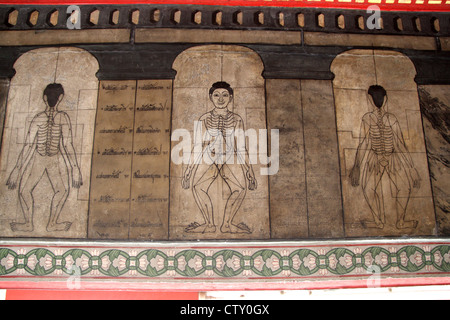 Massaggio tailandese e digitopressione punti su un murale di Wat Pho Foto Stock