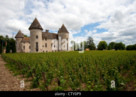 Savigny-lès-Beaune castello, Francia Foto Stock