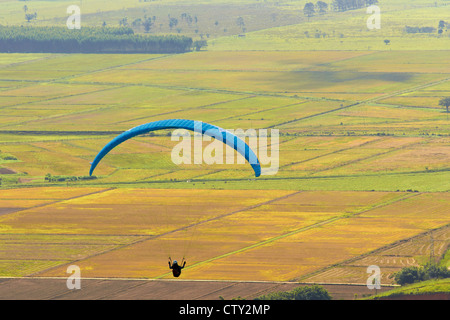 Parapendio su campi di riso nel Itajai-Valley Foto Stock