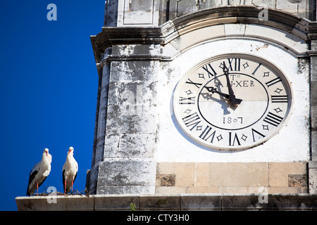 Cappella delle Ossa Chiesa Faro PORTOGALLO Foto Stock